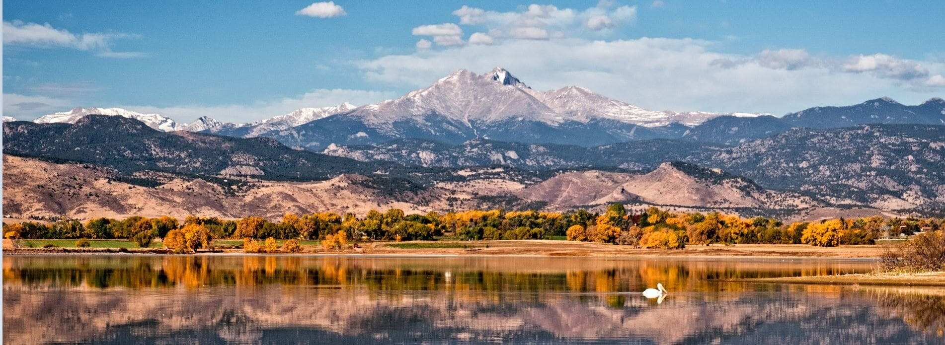 Colorado Collection Delivery Longmont CO Longmont Florist