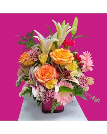 High Style Spring