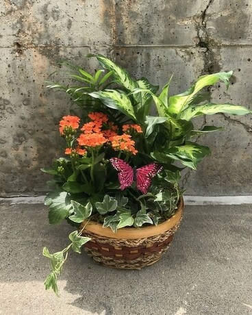 Grow a Little Garden Flower Arrangement
