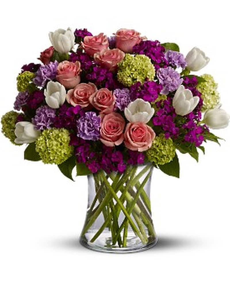 Springtime in Paris in Santa Monica CA - Edelweiss Flower