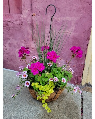 Floral hanging basket Plant