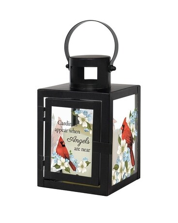 Carson- Cardinals Appear- Small Lantern- #CN57619 Gifts