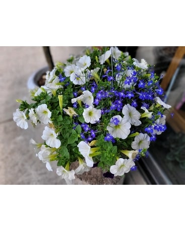 Hanging Basket Flower Arrangement