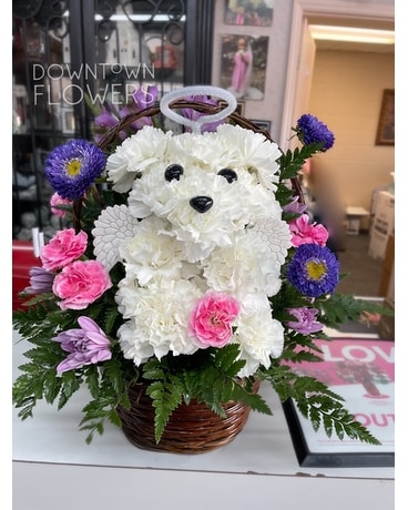 Daisy the angel puppy Flower Arrangement