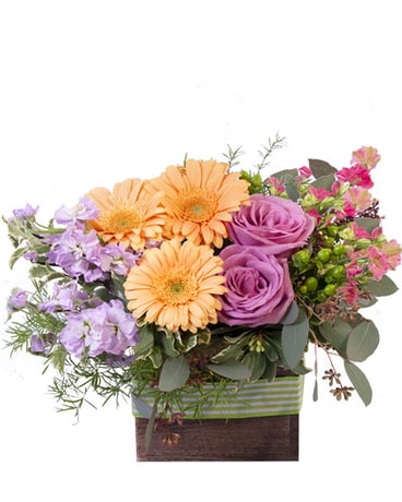 Blooming Wild Bouquet Flower Arrangement