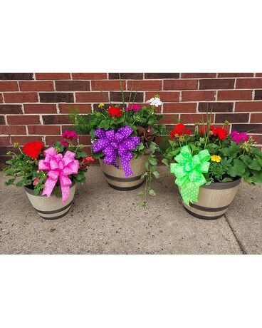 Patio Pots Flower Arrangement