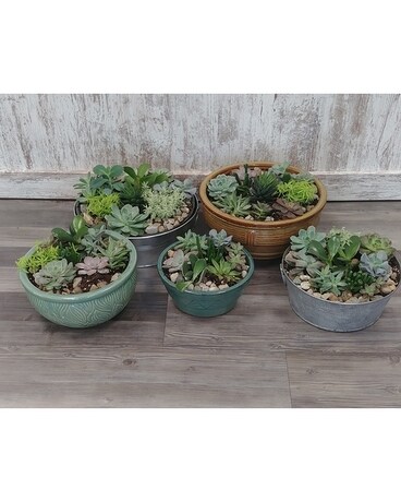 SUCCULENT GARDENS Flower Arrangement