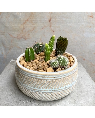 Desert Cactus Garden Flower Arrangement