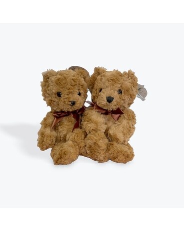 Small Teddy Bears Gifts