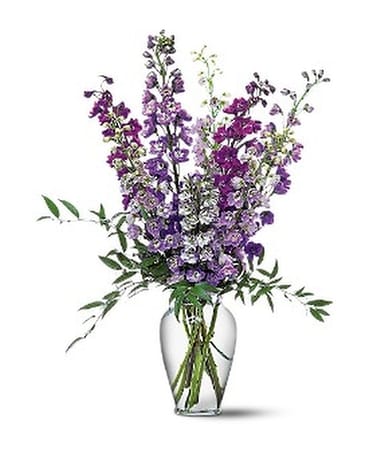 Delphinium Dreams Flower Arrangement