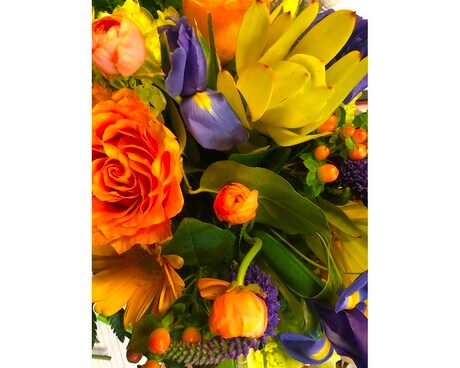 Designer Choice Yellow, Orange, Purple Flower Arrangement