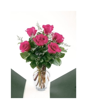 6 Hot Pink Roses Flower Arrangement