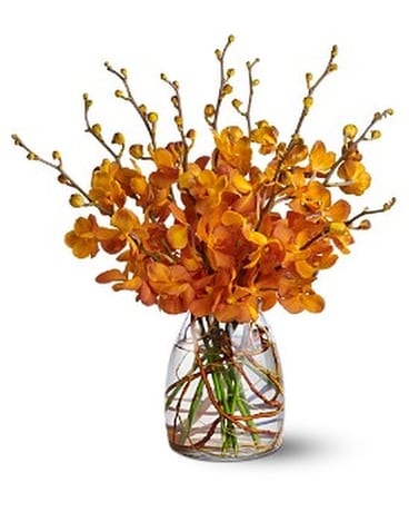 Orchid Embers Flower Arrangement