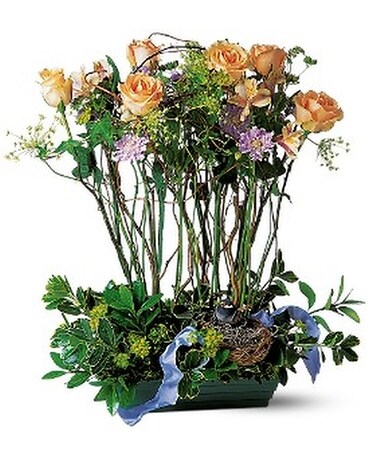 Rose Topiary Flower Arrangement