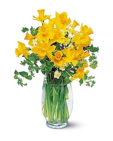 Daffodil Vase Flower Arrangement
