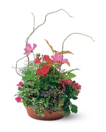 Small Summer Planter Flower Arrangement
