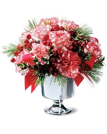 Send Peppermint Carnations nationwide FlowerShopping.com