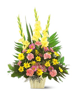 Warm Thoughts Arrangement TF184-3 Flower Arrangement