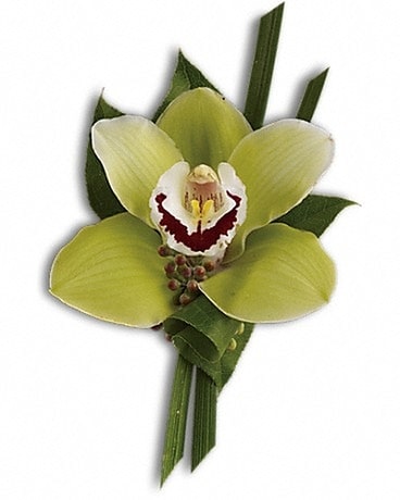 Green Orchid Boutonniere - $25 Boutonniere