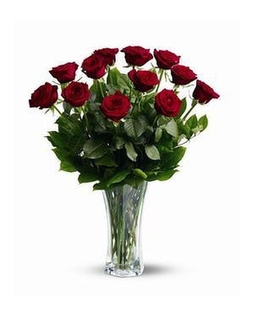 One Dozen Red Roses : long stem Flower Arrangement