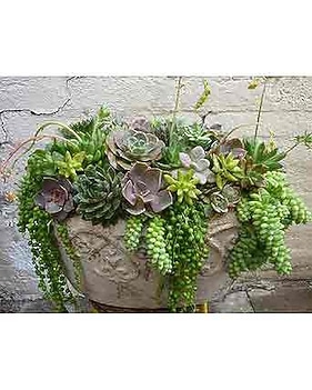 plant pots outdoor Blue Double Rim Ceramic Planter