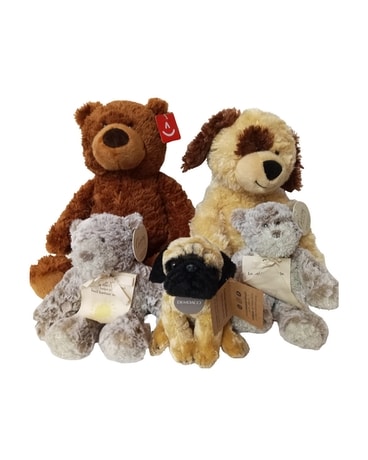 Assorted Small and Large Plush Gifts