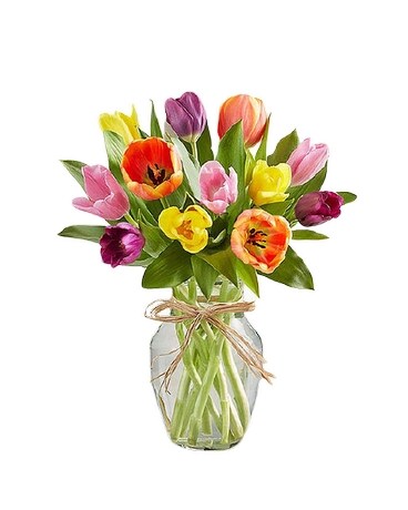 Timeless Tulips
