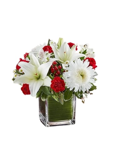 Healing Tears Red and White Flower Arrangement