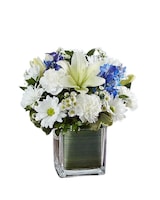 Healing Tears Blue & White in Bradenton FL - Oneco Florist