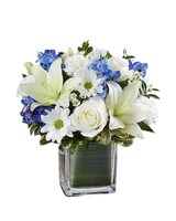 Healing Tears Blue & White in Bradenton FL - Oneco Florist