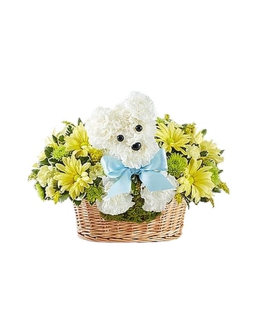 It’s a-DOG-able® Boy Flower Arrangement