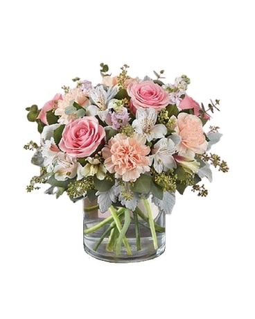 Bradenton Florist - Flower Delivery by Oneco Florist