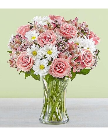 Mothers Day Flowers Delivery Bradenton Fl Oneco Florist