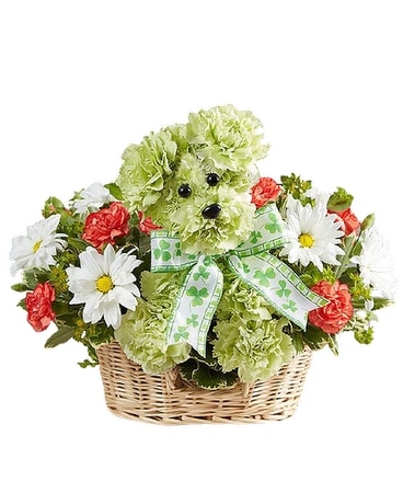 Lucky Specialty Arrangement