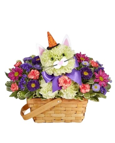 Purrfect Potions Fabulous Feline Flower Arrangement