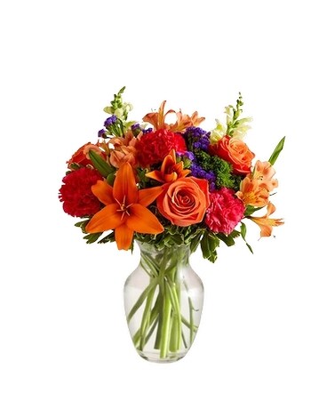 Vibrant Floral Medley in Bradenton FL - Oneco Florist