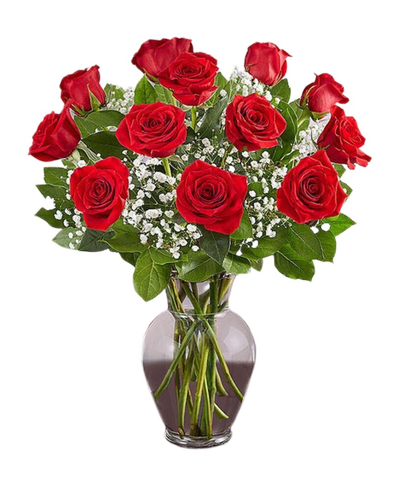 sku3670018.jpg?1644254322401