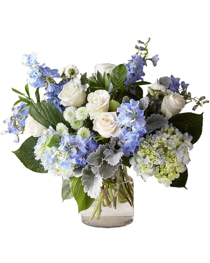 Get Well Delivery Bradenton FL - Oneco Florist