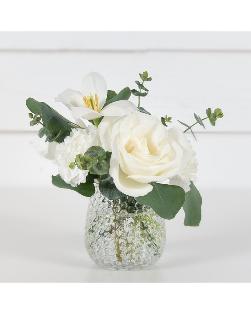レディース andmary Bouquet lace set up