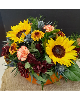 Redding Florist Orange Pumpkin Flower Arrangement