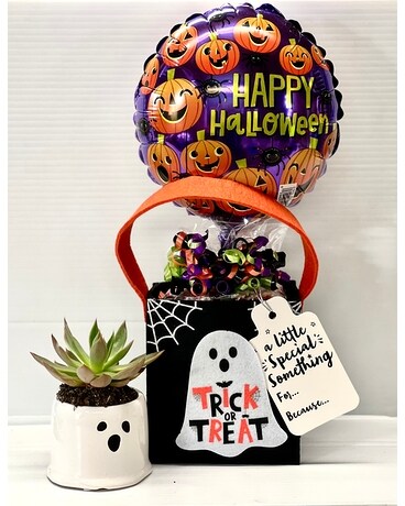 Halloween bag with ghost succulent Plant
