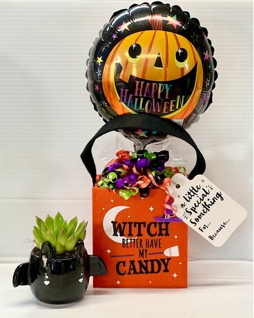 Halloween bag with  bat succulent Plant