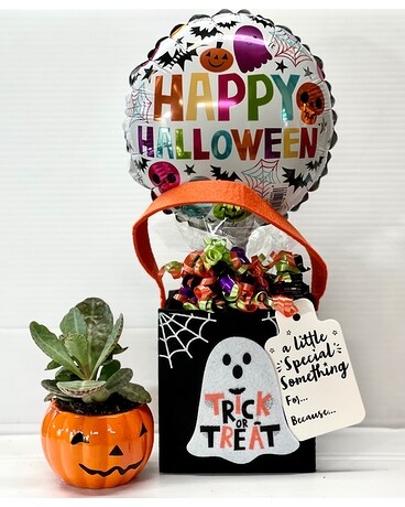 Happy halloween sweet bag with pumpkin succulent Plant