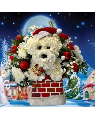 Santa Paws Flower Arrangement