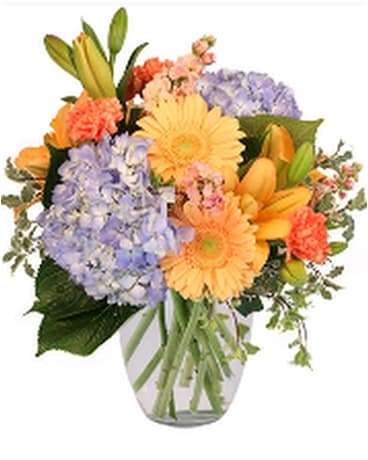 Filled with Delight Flower Arrangement