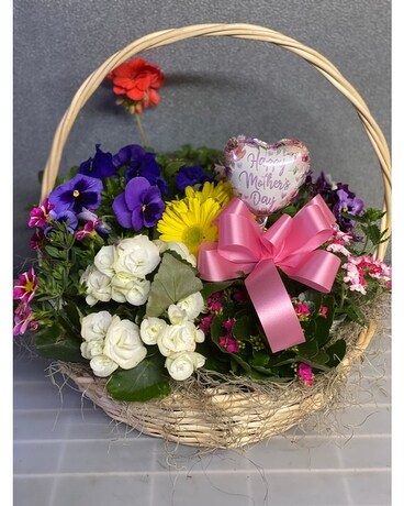 Mom's garden basket Plant