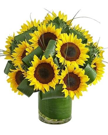 Summer sunflowers Flower Arrangement