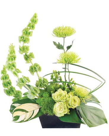 Lovely LIme Flower Arrangement