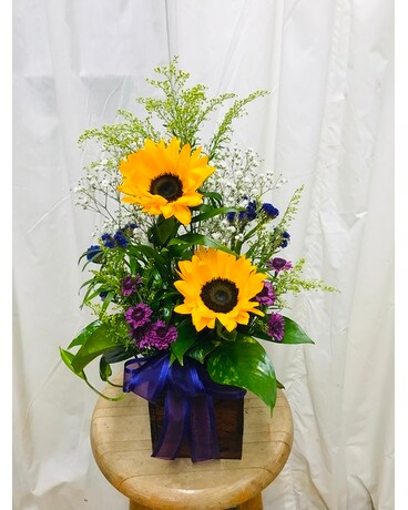 Plants Garden Flower Arrangement