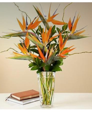 Birds of Paradise Bouquet Flower Arrangement